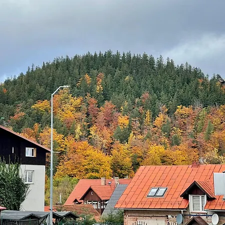 Szumiwoda Apartment